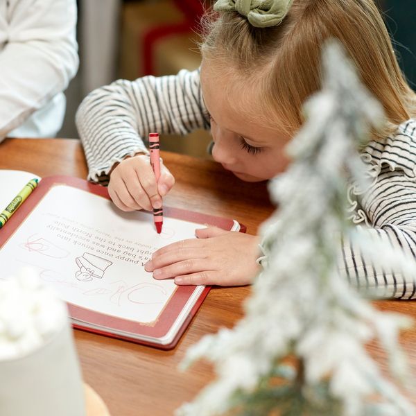 Santa's Kindness Ornament and Journal Set